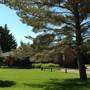 El Western Cabins & Lodges