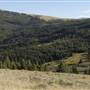 Ridgeway Property