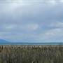 Flathead Lake