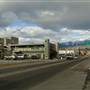 Whitefish