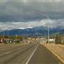 Whitefish