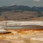 Yellowstone National Park: Mammoth Area