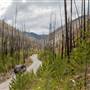 Trail Creek Road