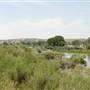 Lower Marias River Road