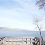 Dailey Lake