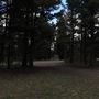 Fleecer Mountain Road