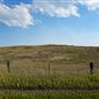 Dirt Road - Cote Ln
