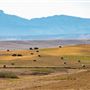 Blackfeet Indian Reservation