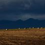 Blackfeet Indian Reservation