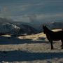 Blackfeet Indian Reservation