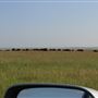 Blackfeet Indian Reservation