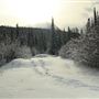 Cut Bank Creek Valley and Overlooks