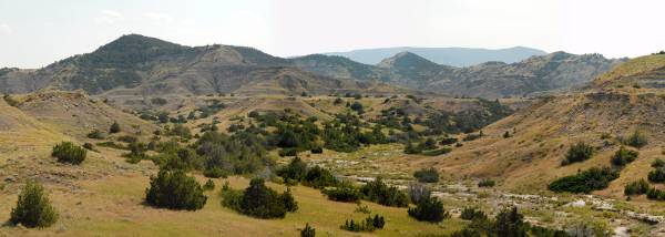 Pryor Mountains (8/20/2007)