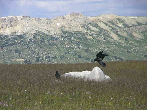 Top of the World - Beartooth Highway (1/3/2008)