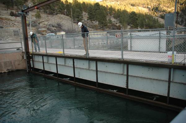 Hauser Dam (2/26/2008 - Credits: Bill Kuney)
