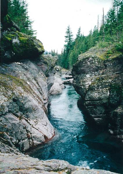 Glacier National Park: McDonald Creek (5/8/2006)