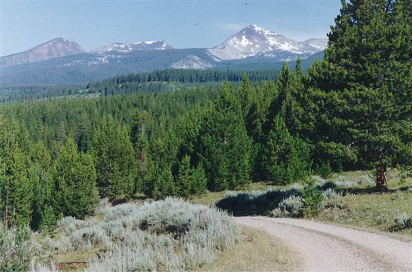 Mule Ranch (8/1/1993)