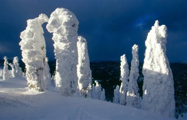 Whitefish Mountain Resort (Big Mountain) (1/19/2005)