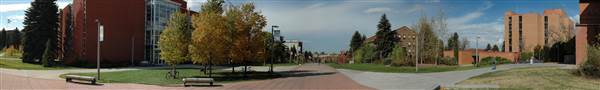 Montana State University (11/9/2006 - Credits: Sten Iverson)