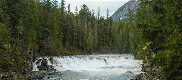 Glacier National Park: McDonald Creek (5/8/2006 - Credits: John Ansotegui)