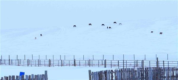 Blackfeet Indian Reservation (1/8/2026 - Credits: Jim Ward)