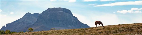 Blackfeet Indian Reservation (1/8/2026 - Credits: Jim Ward)