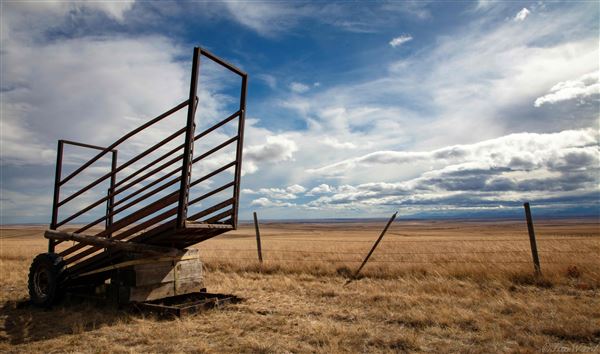 Blackfeet Indian Reservation (1/8/2026 - Credits: Jim Ward)