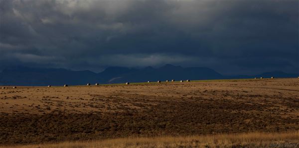Blackfeet Indian Reservation (1/8/2026 - Credits: Jim Ward)