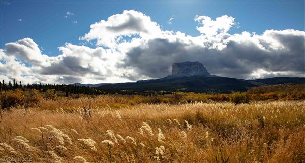 Blackfeet Indian Reservation (1/8/2026 - Credits: Jim Ward)