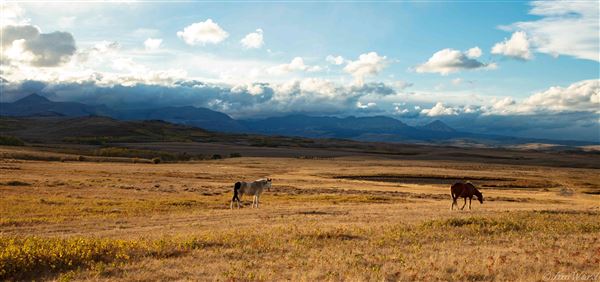 Blackfeet Indian Reservation (1/8/2026 - Credits: Jim Ward)
