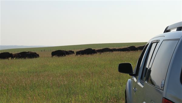 Blackfeet Indian Reservation (1/8/2026 - Credits: Jim Ward)