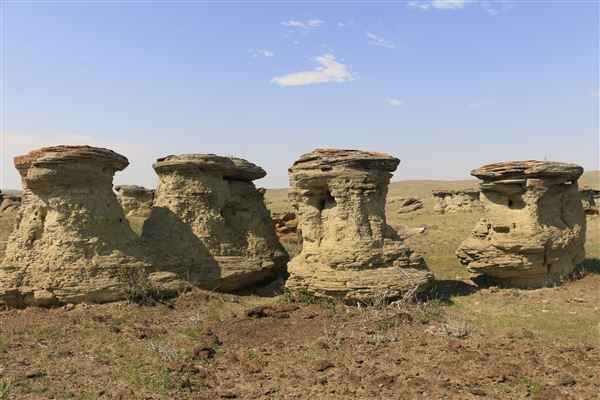 Blackfeet Indian Reservation (1/8/2026 - Credits: Jim ward)