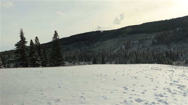 Cut Bank Creek Valley and Overlooks (11/24/2025 - Credits: Jim Ward)