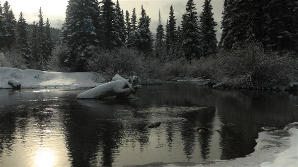 Cut Bank Creek Valley and Overlooks (11/24/2025 - Credits: Jim Ward)
