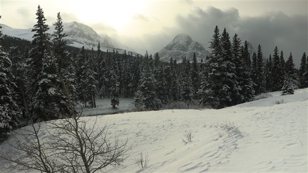Cut Bank Creek Valley and Overlooks (11/24/2025 - Credits: Jim Ward)
