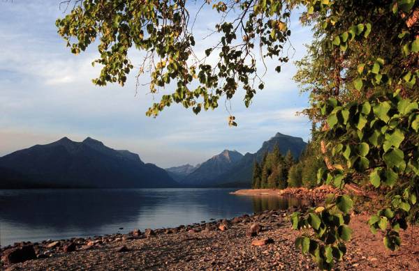 Glacier National Park: Lake McDonald - Between Apgar and Lake McDonald Lodge (8/6/2007)