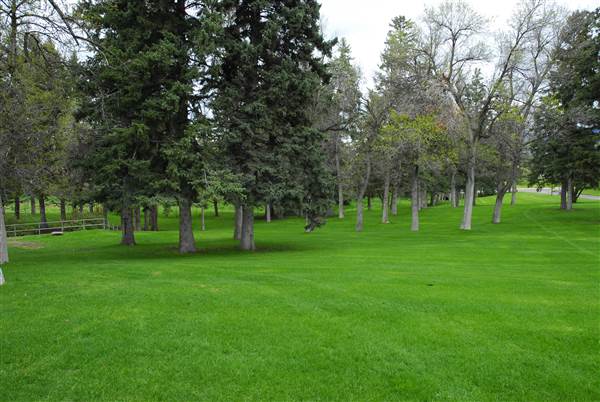 Lindley Park & Cemetery (5/28/2008 - Credits: John Ansotegui)