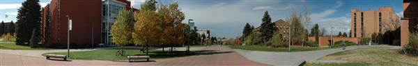 Montana State University (11/9/2006 - Credits: Sten Iverson)