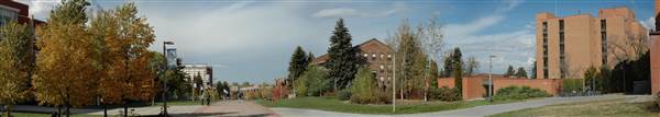 Montana State University (11/9/2006 - Credits: Sten Iverson)