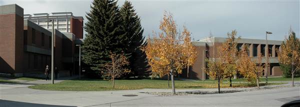 Montana State University (11/9/2006 - Credits: Sten Iverson)