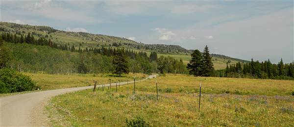 Cut Bank Creek Valley and Overlooks (7/10/2008 - Credits: John Ansotegui)