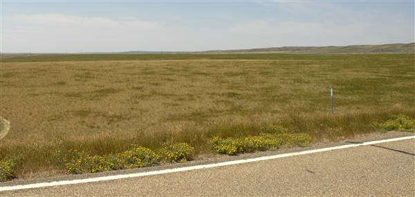 Highway 223- Fort Benton (8/10/2009 - Credits: John Ansotegui)