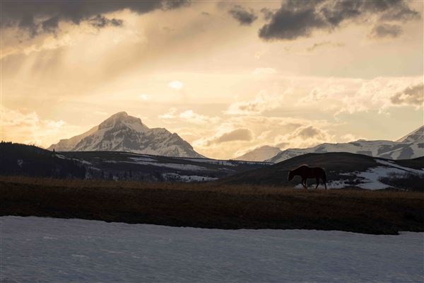 Blackfeet Indian Reservation (1/8/2026)