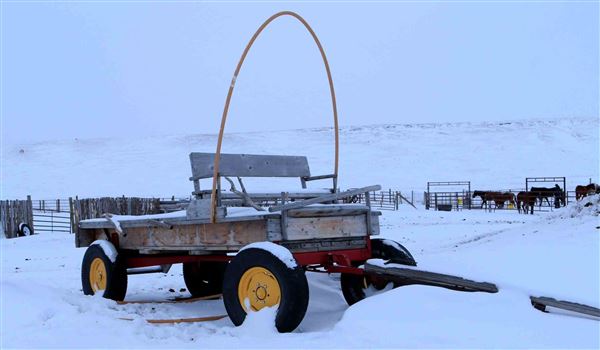 Blackfeet Indian Reservation (1/8/2026 - Credits: Jim Ward)