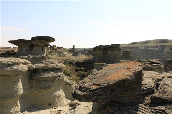 Blackfeet Indian Reservation (1/8/2026 - Credits: Jim Ward)