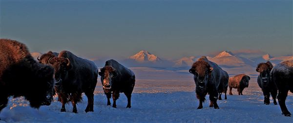 Blackfeet Indian Reservation (1/8/2026 - Credits: Jim Ward)