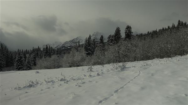 Cut Bank Creek Valley and Overlooks (11/24/2025 - Credits: Jim Ward)