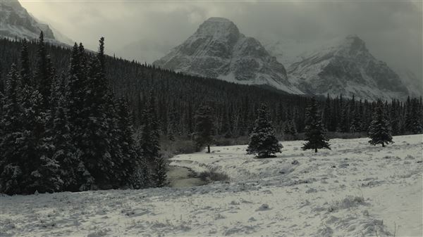 Cut Bank Creek Valley and Overlooks (11/24/2025 - Credits: Jim Ward)