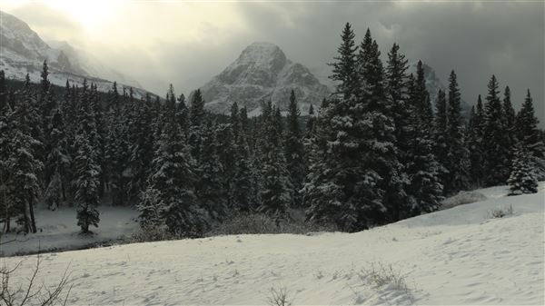 Cut Bank Creek Valley and Overlooks (11/24/2025 - Credits: Jim Ward)