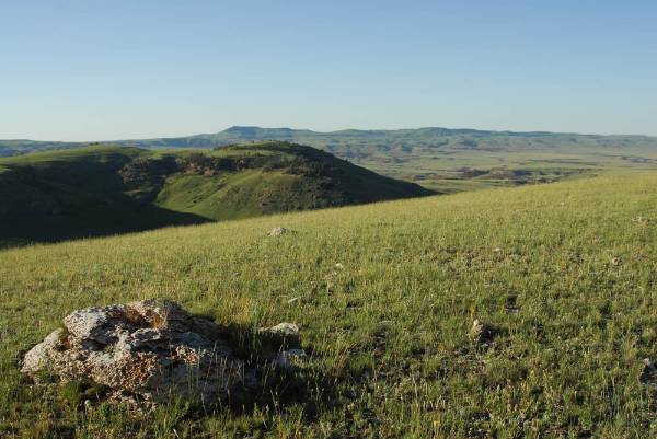 Pryor Mountains (8/21/2007 - Credits: Donnie Sexton)